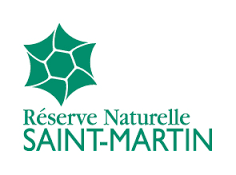 RNN Saint-Martin